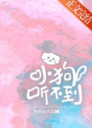 小狗听不到 小狗听不到